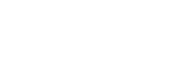 bsport-logo-footer