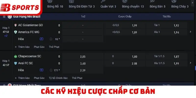 Các ký hiệu cược chấp cơ bản