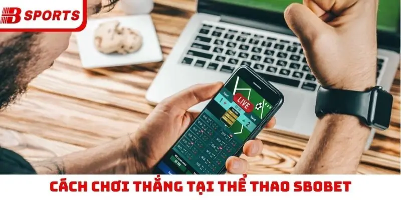 Cách chơi thắng tại thể thao SBOBET
