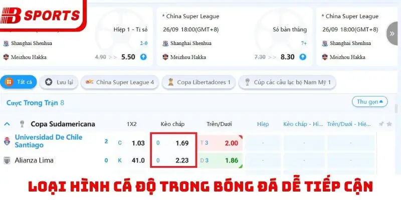 Loại hình cá độ trong bóng đá dễ tiếp cận