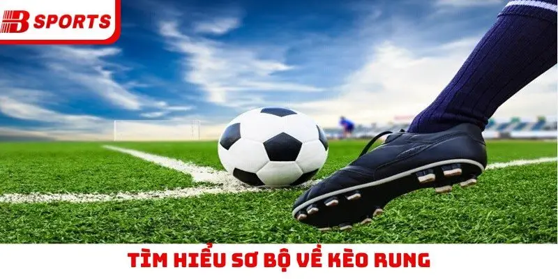 Tìm hiểu sơ bộ về kèo rung