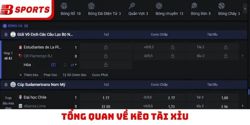Tổng quan về kèo tài xỉu